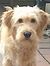Trudy V...