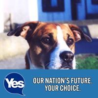 williebeediebtinternet.com