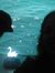 Lucia S...