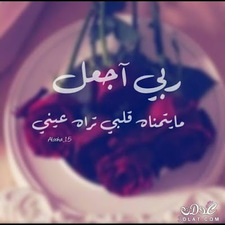 محمود المصري