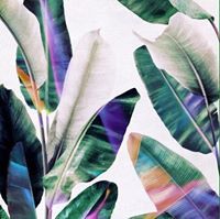 Сэрдамба Нэмэхжаргал