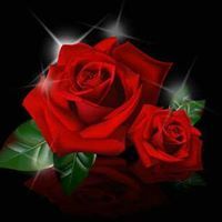 Rishu Singh