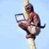 مطارد الوحران