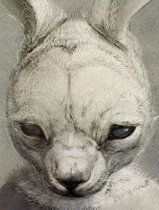 Rᴀʙʙɪᴅᴘᴜɴᴄʜ