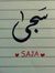 Saja Ejmi