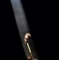 ⵜⵉⴷⵉ ⵜⵉⴷⵉ