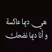 مراد ووشو ووشو