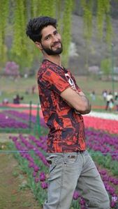 Peer Mohsin