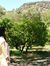 Momina ...