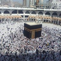 سهيله علام
