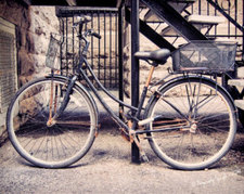 Connor Scully-allison