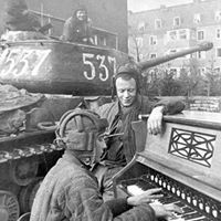 Вељко Петровић