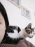 Fiona Wong