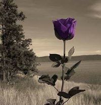 Doaa Mostafa