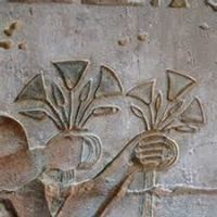 عربيتنا قوميتنا