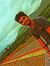 Gauns P...