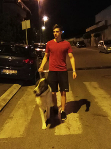 Petar Colic