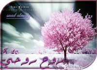 سعد الرويلي