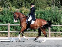 Kristin Leirfall