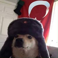 Sezer Gençtürk