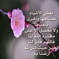 محمد ابو شهر