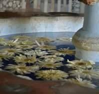 رغداءء الدمشقية