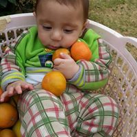 Dyaa Abu Sharekh