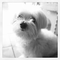 Tharee Lertrattanasart