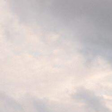 إيمان الفقيه