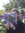 Anna (annaseyeforpages) | 143 comments