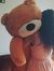 Nadin S...