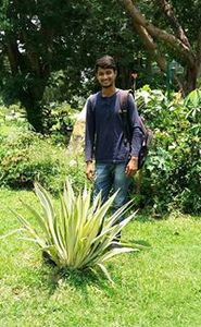 Saurav Sharma