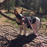 Brianna Garrett