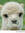 Anne Ecobichon