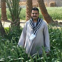 وليد البديوى