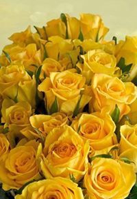 Галина Малчева