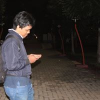 Dendro Gemilang