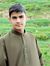 Maaz Khan
