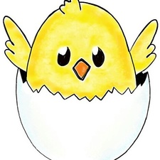 Anak Ayam