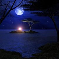 Mohamed Shiha