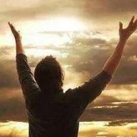 محمد سليمان