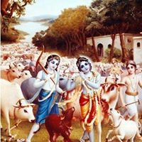 கஸ்தூரி கஸ்தூரி