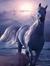 Asmaa H...
