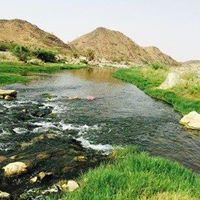 عبدالله الغزواني