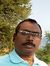 Salil S...