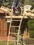 Shivam ...