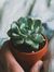 Chris Ly