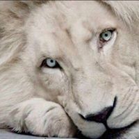 عبدالله البياتي