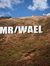 Wael Kh...