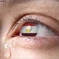 Abdou Abo AbdAllah